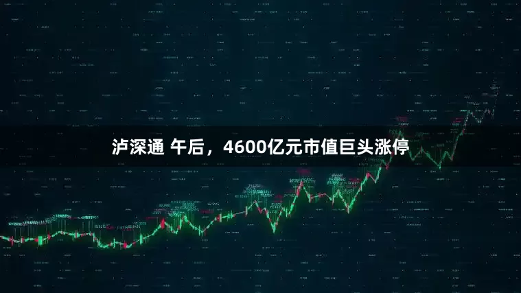 泸深通 午后，4600亿元市值巨头涨停