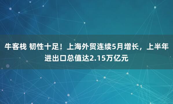 牛客栈 韧性十足！上海外贸连续5月增长，上半年进出口总值达2.15万亿元