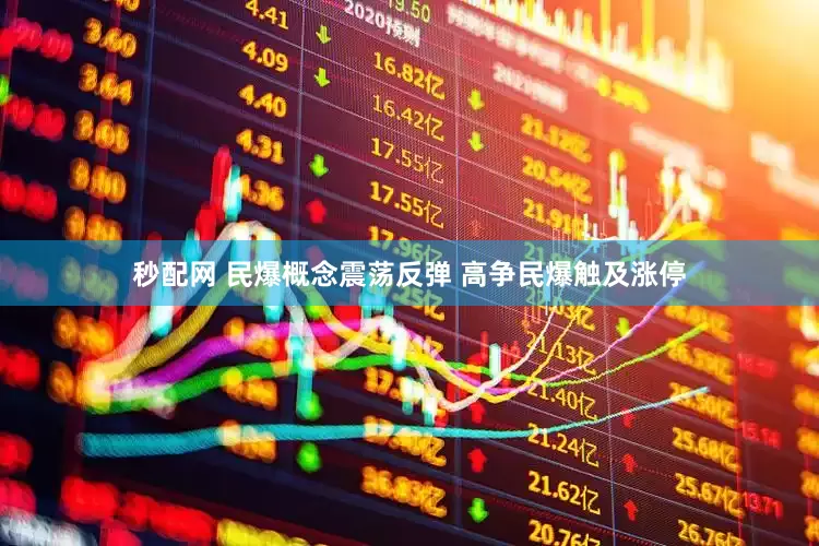 秒配网 民爆概念震荡反弹 高争民爆触及涨停